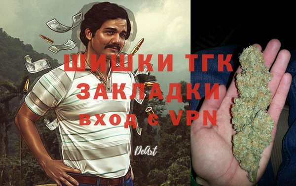 стаф Белокуриха