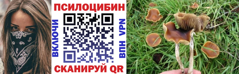 Псилоцибиновые грибы прущие грибы  Печора 