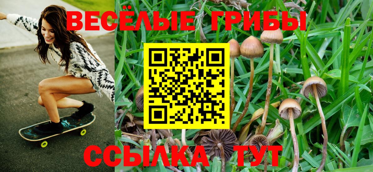 Псилоцибиновые грибы Psilocybine cubensis  Галлюциногенные грибы MAGIC MUSHROOMS  Печора  купить  сайты  Вход с VPN 