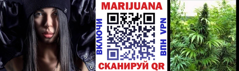 Каннабис гибрид  Печора 